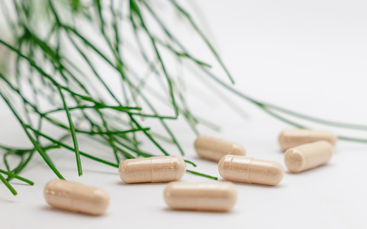 Saisonale Lebensmittel und Frische
